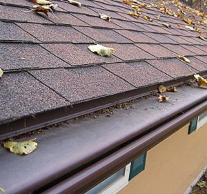 gutter protection