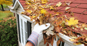 gutters clogged with leaves being cleaned by someone wearing work gloves